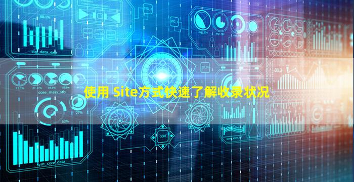 使用 Site方式快速了解收录状况